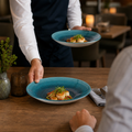Deep Coupe Plates 255mm Teal Vitrified Porcelain for Dining Experiences (Pack of 12)