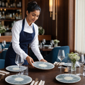 Vitrified Coupe Plates Starburst Design Vitrified Ceramic for Everyday Service (Pack of 12)