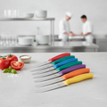 Stainless Steel Tomato and Table Knives 11cm for Catering (Pack of 6)