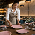 Oblong Plates Pink Vitrified Ceramic for Modern Table Settings (Pack of 12)
