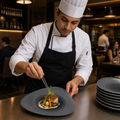 Plates 254mm Grey Vitrified Porcelain for Restaurants (Pack of 12)