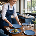 Coupe Plates Blue Porcelain for Daytime Dining (Pack of 6)