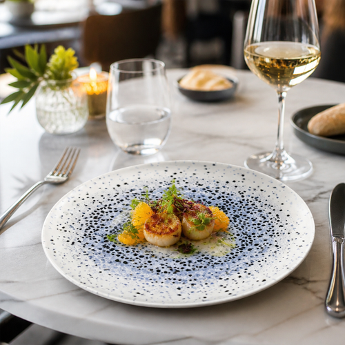 Centre Organic Round Plates 210mm Blue Vitrified Ceramic for Dining Experiences (Pack of 12)