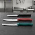 Stainless Steel Paring Knife Set for Professional Kitchens (Pack of 3)