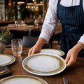 Walled Plates 260mm Vitrified Ceramic for Casual Dining (Pack of 6)