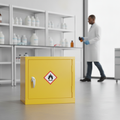 Steel Hazardous Substance Cabinet 5L for Safe Chemical Storage