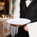 Dinner Plate 252mm Porcelain for Catering Services (Pack of 24)