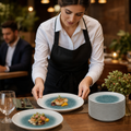 Round Trace Plates Green Porcelain for Stylish Dining (Pack of 12)