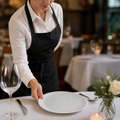 Coupe Plates 241mm Porcelain for Elegant Dining (Pack of 24)
