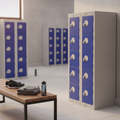 Powder Coated Steel Personal Effects Locker for Secure Storage