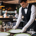 Dinner Plates Coloured Rim 235mm Glass for Healthcare & Catering (Pack of 24)
