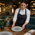 Coupe Plates 286mm Grey Vitrified Porcelain for Dining (Pack of 12)