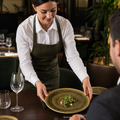 Olive Coupe Plates inch 11 1/4 Vitrified Porcelain for Dining (Pack of 12)