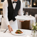 Plates 230mm White Porcelain for Catering Use (Pack of 24)