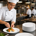 Plates 230mm Porcelain for Catering Needs (Pack of 24)