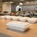 Bagasse Hinged Food Containers 700ml for Takeaway Service (Pack of 250)