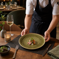 Olive Coupe Plates Vitrified Porcelain for Dining Experiences (Pack of 12)