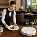 Alumina Rim Plates 230mm Vitrified Ceramic for Hospitality (Pack of 24)