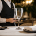 Polycarbonate Wine Glass 310ml for Outdoor Use