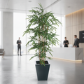 Fire Retardant Artificial Plant 1800mm for Offices