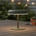 Plastic Green Solar Outdoor Battery Light for Versatile Use