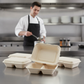 Bagasse Two-Compartment Hinged Food Containers for Takeaway (Pack of 200)