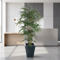 Fire Retardant Plant 1200mm for Offices & Reception Areas