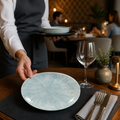 Coupe Plates 165mm Aqua Porcelain for Stylish Dining (Pack of 12)