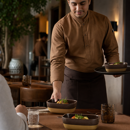 Brown Dishes Brown Vitrified Ceramic for Dining (Pack of 6)