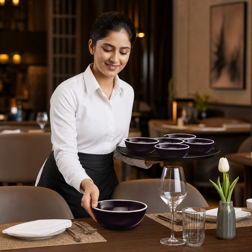 Alumina Bowls 470ml Vitrified Ceramic for Hospitality Use (Pack of 12)