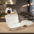 Bagasse Hinged Meal Boxes 74x228x155mm for Food Markets