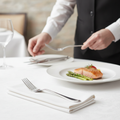 Stainless Steel Table Fork 195mm for Elegant Dining (Pack of 12)