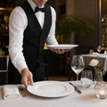 Plates 255mm Porcelain for Fine Dining (Pack of 24)