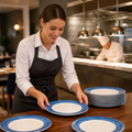 Dinner Plates Coloured Rim 235mm Glass for Healthcare & Catering (Pack of 24)