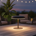 Plastic Portable Solar Outdoor Battery Light for Outdoor Use