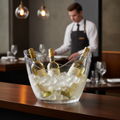 Plastic Wine Cooler 8L for Serving Drinks at Gatherings