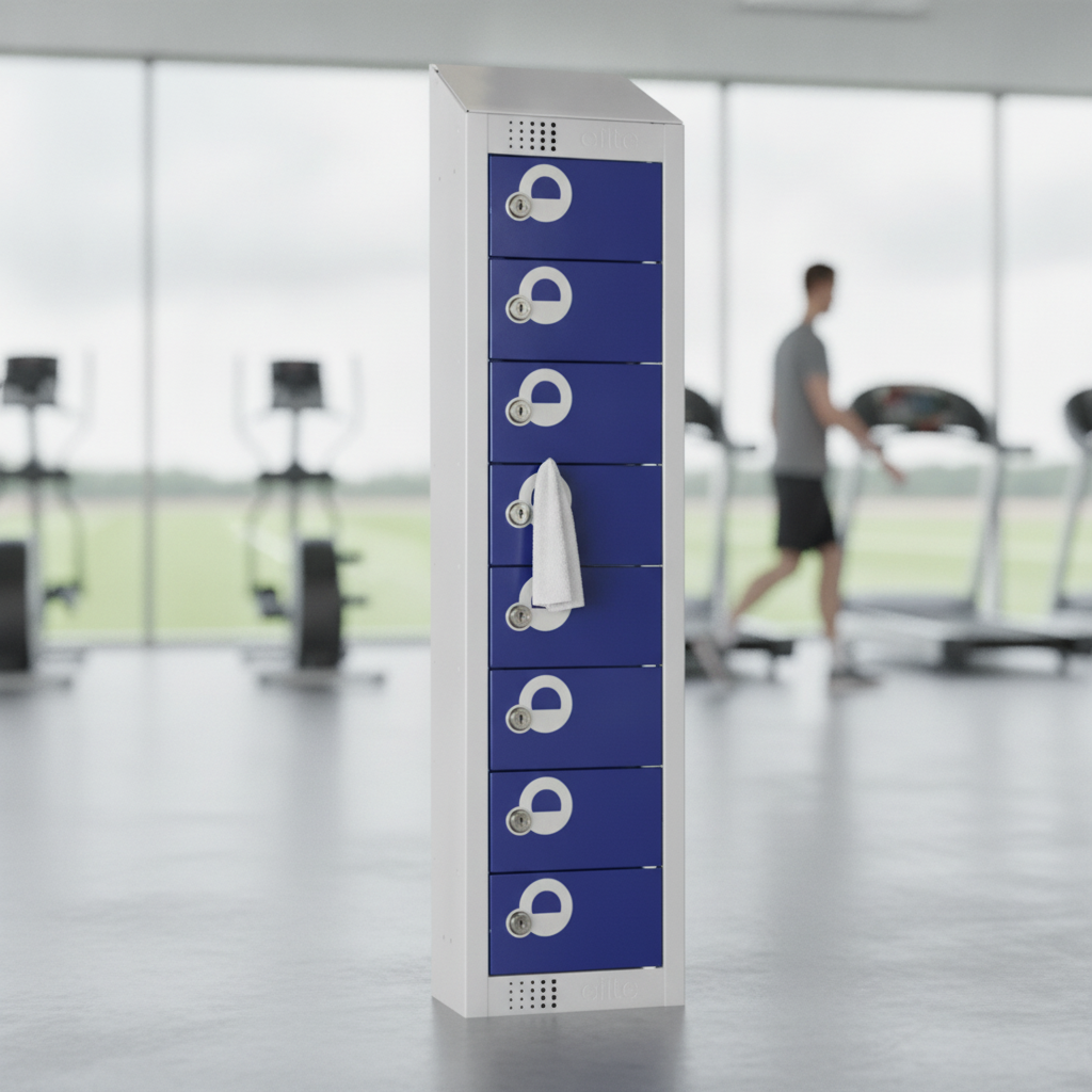 Steel Personal Effects Lockers for Gyms and Schools