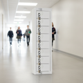 Steel Eight Door Personal Effects Lockers for Schools & Clinics