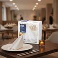 Paper Dinner Napkins 400x400mm for Upscale Dining (Pack of 14)