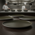 Porcelain Plate Brown 320mm for Catering & Hospitality