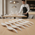 Recycled PET Party Spoon 110mm for Table Settings