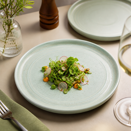 Cavolo Flat Round Plates in Spring Green 220mm for Healthy Dining (Pack of 6)