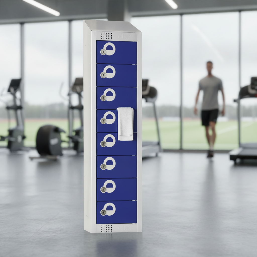 Steel Personal Effects Lockers for Gyms and Schools