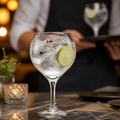 Polycarbonate Gin Glasses 650ml for Bars & Outdoor Events (Pack of 6)