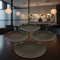 Porcelain Brown Plates 260mm for Catering & Hospitality (Pack of 3)